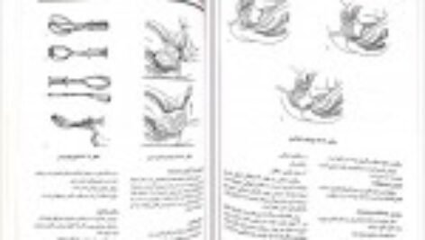 دانلود کتاب پرستاری و بهداشت مادران و نوزادان میترا ذوالفقاری PDF