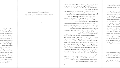 دانلود کتاب شادی های کوچک یک خانه کولت ویویه PDF