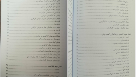 دانلود کتاب کار آفرینی دکتر مژگان حیاتی PDF