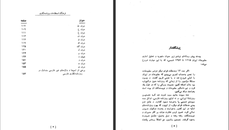 دانلود کتاب فرهنگ اصطلاحات روزنامه نگاری فارسی مسعود برزین PDF