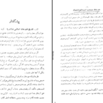 دانلود کتاب تاریخ فتوحات اسلامی در اروپا علی دوانی PDF