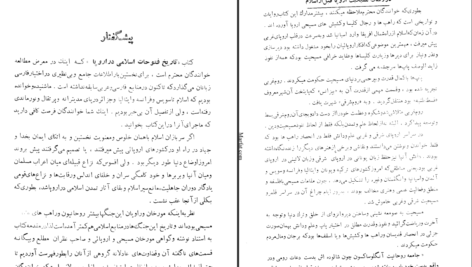 دانلود کتاب تاریخ فتوحات اسلامی در اروپا علی دوانی PDF