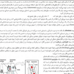 دانلود کتاب زیست شناسی سلولی،مولکولی و مهندسی ژنتیک مجید مهدوی PDF