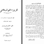 دانلود کتاب غریزه خوشبختی ابوذر صداقت PDF