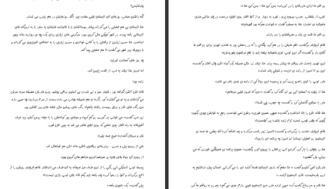 دانلود کتاب روحی در همسایگی شهره نور صالحی PDF