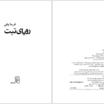 دانلود کتاب رویای تبت فریبا وفی PDF