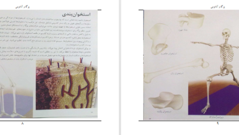 دانلود کتاب یوگا و آناتومی ری لانگ PDF