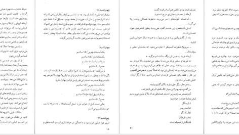 دانلود کتاب شادی های کوچک یک خانه کولت ویویه PDF