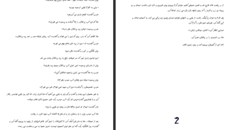 دانلود کتاب روحی در همسایگی شهره نور صالحی PDF