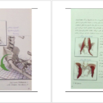 دانلود کتاب یوگا و آناتومی ری لانگ PDF