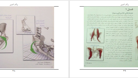 دانلود کتاب یوگا و آناتومی ری لانگ PDF