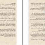 دانلود کتاب هیچ وقت دروغ نگو فریدا مک فادن PDF