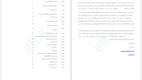 دانلود کتاب حضور در وضعیت صفر جو ویتالی PDF