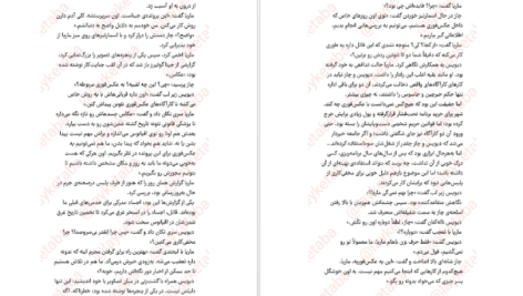 دانلود کتاب عکس فوری برندون سندرسون PDF