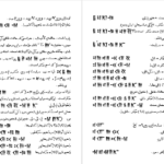 دانلود کتاب فارسی باستان هاشم رضی PDF