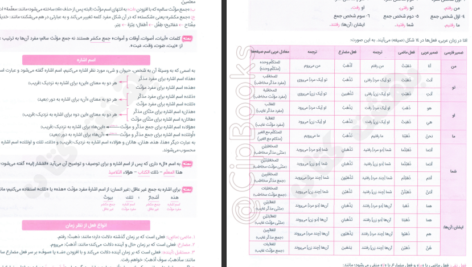 دانلود کتاب مجموعه راه نهایی عربی دوازدهم علی فیلی و پیمان بوذری PDF