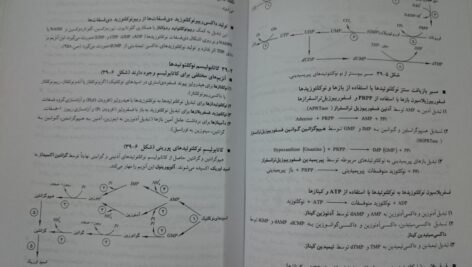 دانلود کتاب ضروریات بیوشیمی دکتر رضا محمدی PDF
