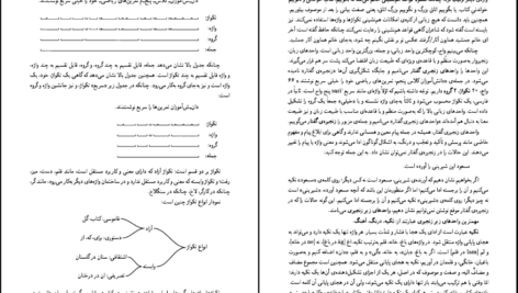 دانلود کتاب دستور زبان فارسی ۲ حسین انوری PDF