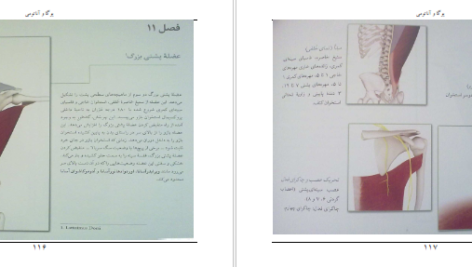 دانلود کتاب یوگا و آناتومی ری لانگ PDF