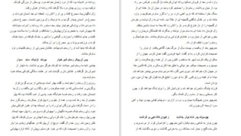 دانلود کتاب گفتار شورانگیز فردوسی سهراب چمن آرا PDF