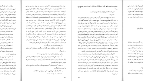 دانلود کتاب شادی های کوچک یک خانه کولت ویویه PDF
