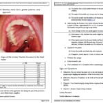 دانلود کتاب بی حسی موضعی در دندانپزشکی انتشارات رویان پژوه PDF