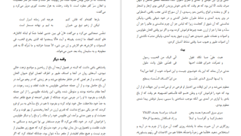 دانلود کتاب لغت موران شیخ اشراق شهاب الدین سهروردی PDF