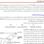 دانلود کتاب زیست شناسی سلولی،مولکولی و مهندسی ژنتیک مجید مهدوی PDF