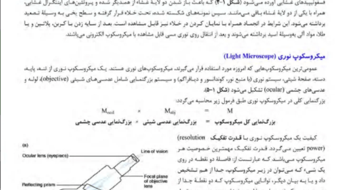 دانلود کتاب زیست شناسی سلولی،مولکولی و مهندسی ژنتیک مجید مهدوی PDF