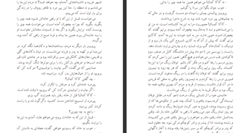 دانلود کتاب سرزمین جمیله احمد ضیا سیامک هروی PDF