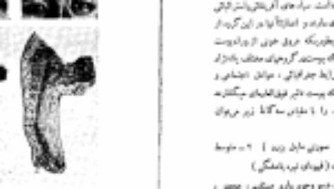 دانلود کتاب مبدا نژادهای انسان میخائیل نستورخ PDF