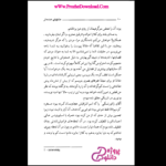 دانلود کتاب عشق‌های خنده دار میلان کوندرا PDF