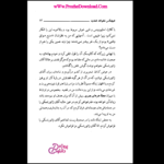 دانلود کتاب عشق‌های خنده دار میلان کوندرا PDF