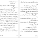 دانلود کتاب انتری که لوطیش مرده بود صادق چوبک PDF