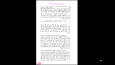 دانلود کتاب زندگی جنگ و دیگر هیچ اوریانا فالاچی PDF