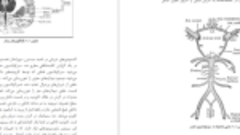 دانلود کتاب اصول بیهوشی در جراحی مغز و اعصاب مهرداد مسعودی فر PDF