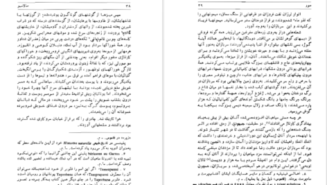 دانلود کتاب سالامبو گوستاو فلوبر PDF