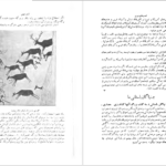 دانلود کتاب سرگذشت تمدن کارل بکر PDF