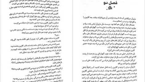 دانلود کتاب سنگدل مریسا مایر PDF