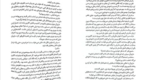 دانلود کتاب سنگدل مریسا مایر PDF