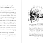 دانلود کتاب سنگواره های انسان عصر حجر دکتر روبر ژولین PDF
