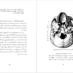 دانلود کتاب سنگواره های انسان عصر حجر دکتر روبر ژولین PDF