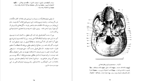 دانلود کتاب سنگواره های انسان عصر حجر دکتر روبر ژولین PDF