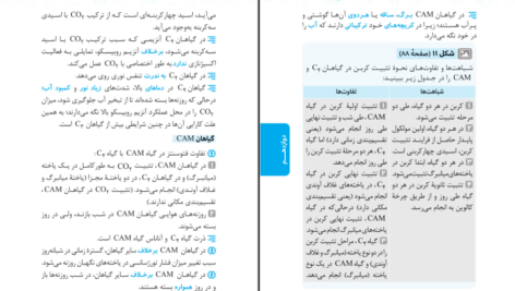 دانلود کتاب عبارت های کلیدی زیست کنکور PDF