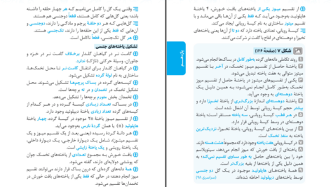 دانلود کتاب عبارت های کلیدی زیست کنکور PDF