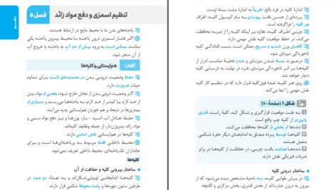 دانلود کتاب عبارت های کلیدی زیست کنکور PDF
