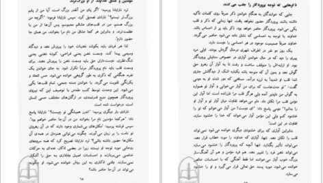 دانلود کتاب سخنان ساتیا سای بابا ساتیا سای بابا PDF