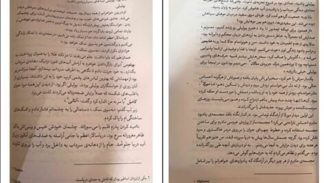 دانلود کتاب سرای نمک و اندوه ارین ای.کریج PDF