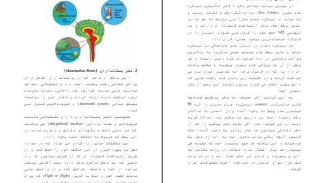 دانلود کتاب سرشت بشری ذبیح مدرسی PDF