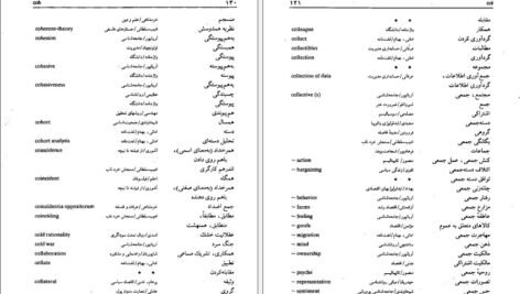 دانلود کتاب فرهنگ اصطلاحات فلسفه و علوم اجتماعی ماری بریجانیان PDF